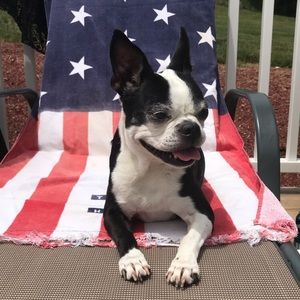 Meet your Posher, Jess